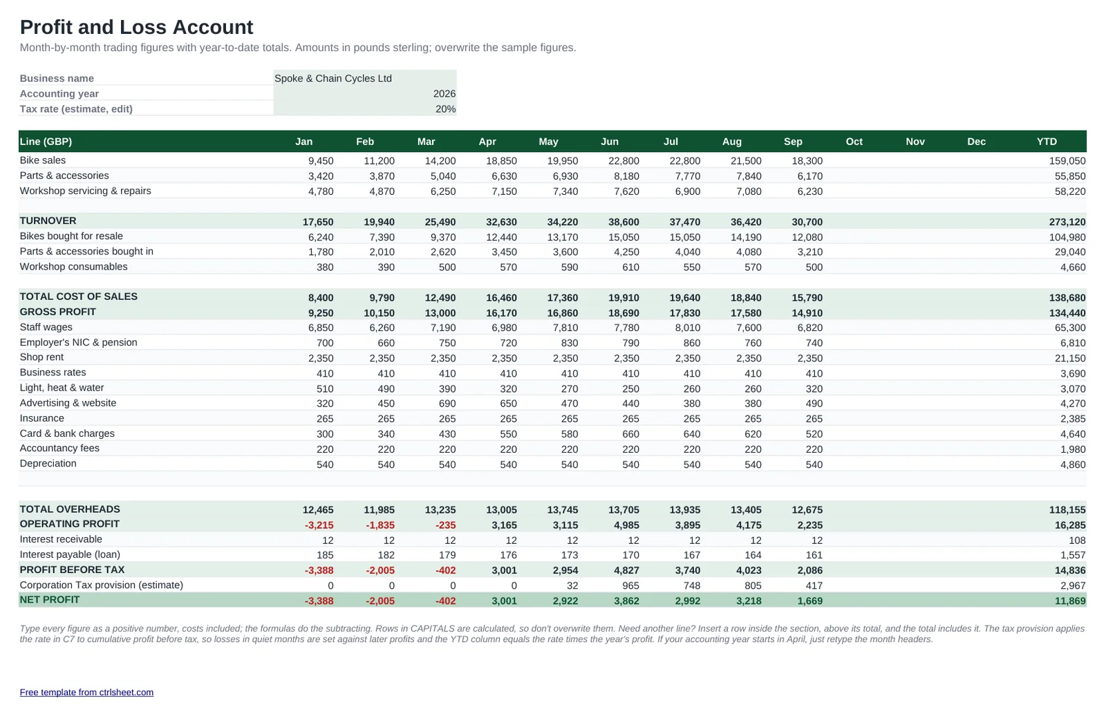 Preview of the Profit and Loss Account Template template, sheet P&L account